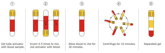 Gel and Clot Activator